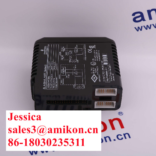 Emerson DeltaV SE4002S1T2B1 