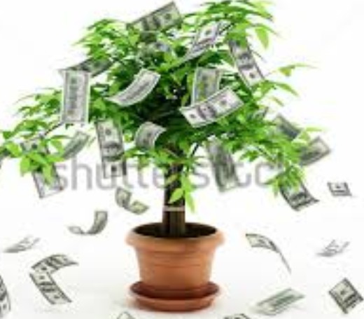 Business Financial services Available !!!