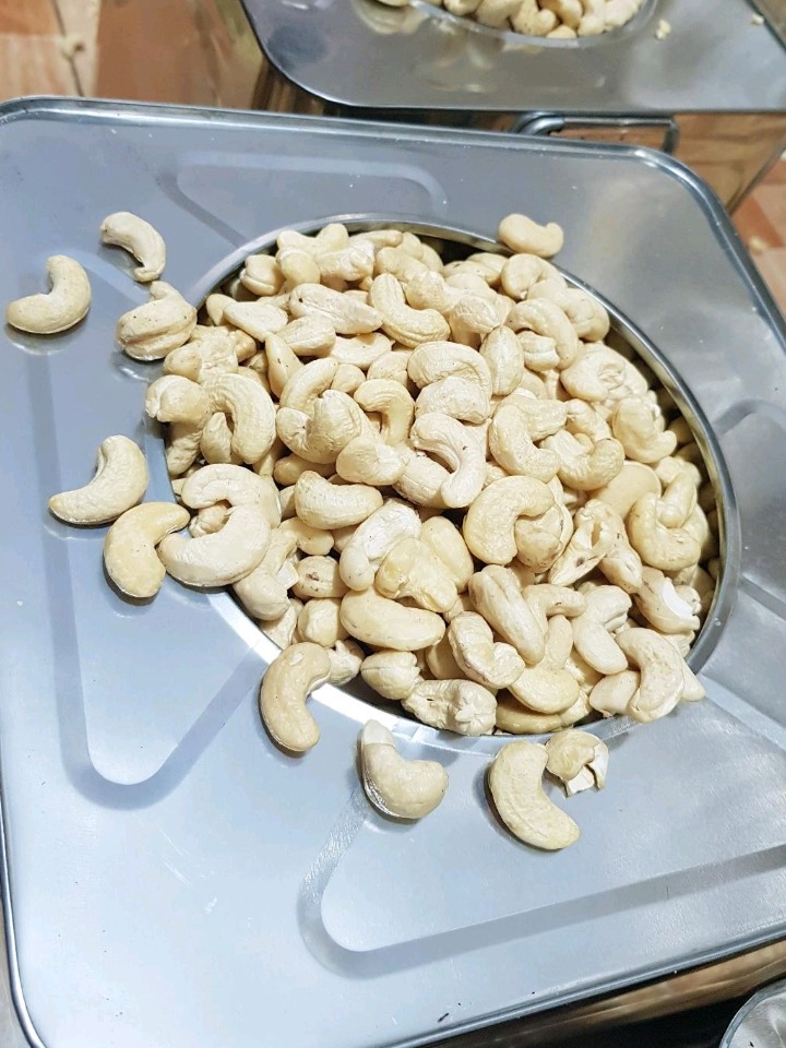 Cashew Kernel W240