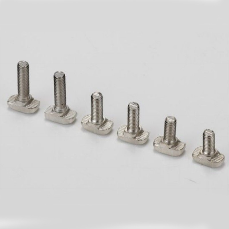 European standard T-bolts series -30