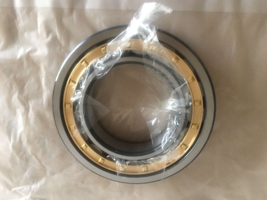 GCR15 Double Sealed Roller Bearings For Vibration Screens NU1007 35*62*14mm