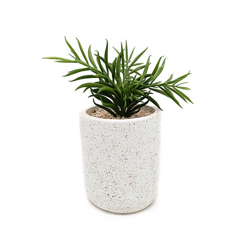 Xianju Can fake plant decoration