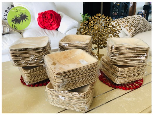 Areca Palm Leaf Plate, Bamboo look Disposable Biodegradable Eco Friendly Areca Plate For Picnic Party Wedding Birthday Event Made in India