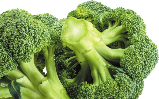 Broccoli Extracrt