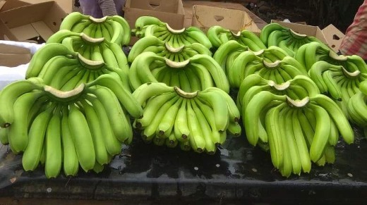 Green banana