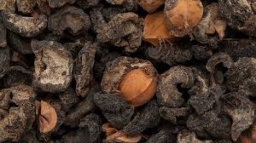 Dried Amla with Seeds