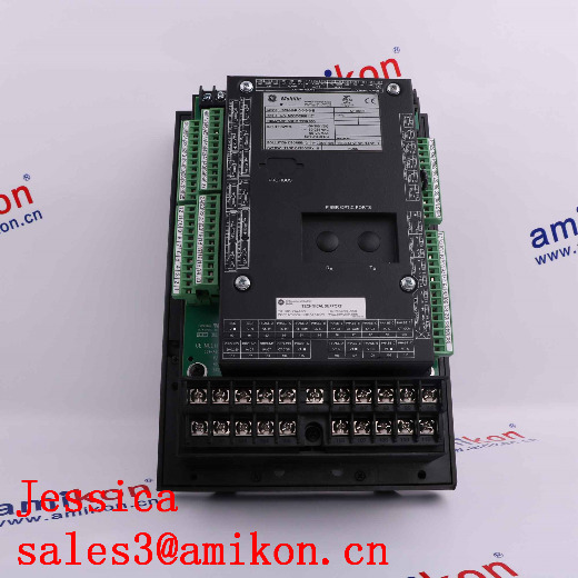 GE Speedtronic Mark VI IS200VTCCH1C MARK VI THERMOCOUPLE