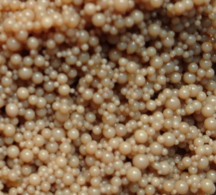 ION EXCHANGE RESIN AND ADSORBENTS