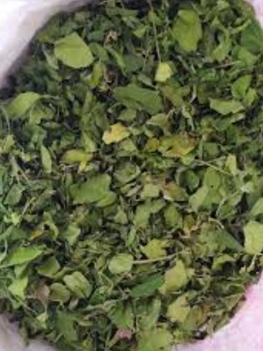 Gymnema Sylvestre Dried Leaves