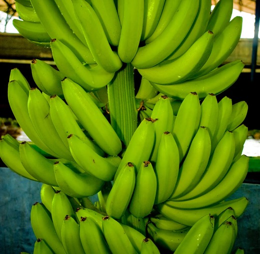 Fresh Banana