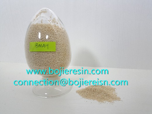 Guava polyphenol extraction resin