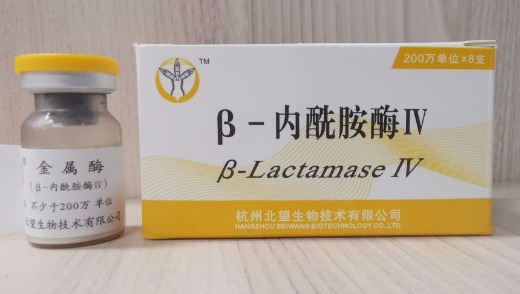 Beta-Lactamase 