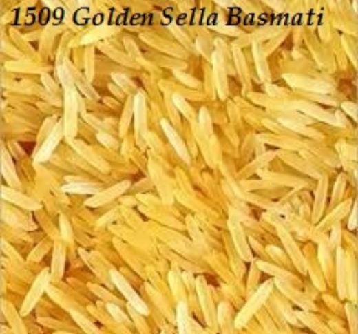 Indian Basmati Rice
