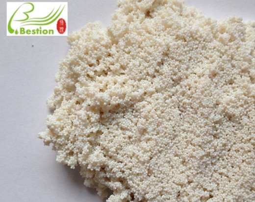 Lotus seed polyphenol extraction resin