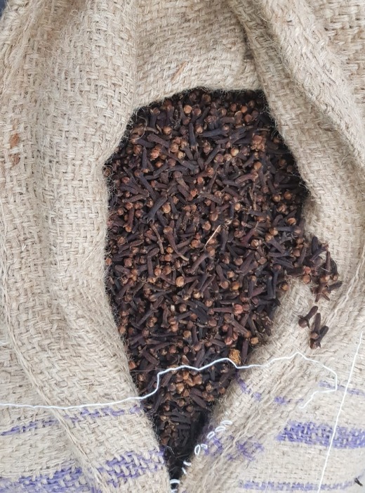 CLOVES OF MADAGASCAR