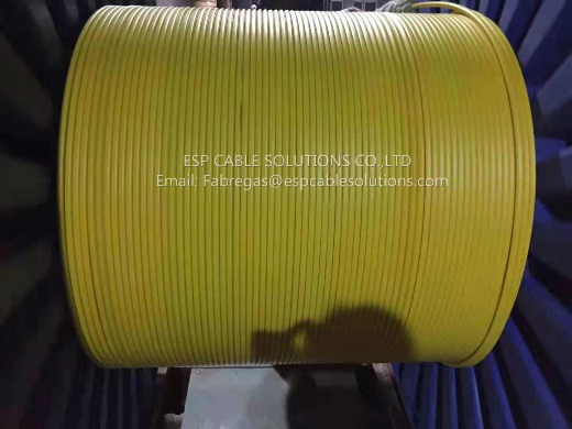 Tubing Encapsulated Cable(TEC Cable)