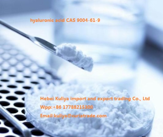 hyaluronic acid CAS 9004-61-9