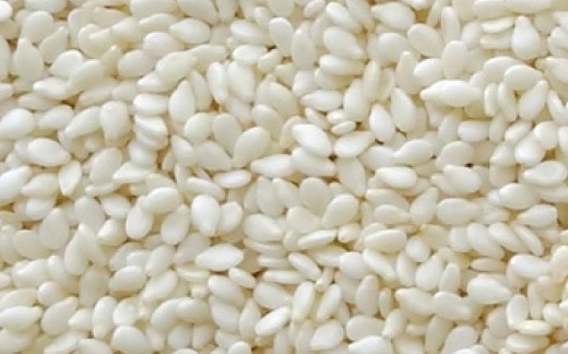 Organic Sesame Seeds