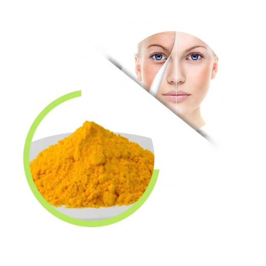 High Quality fermentation 99% coenzyme q10 powder/ubiquinone q10 usp  