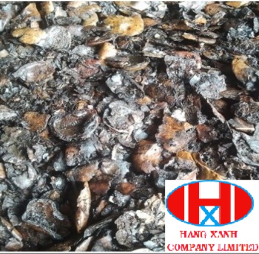 Extracted Cashew Nut Shell