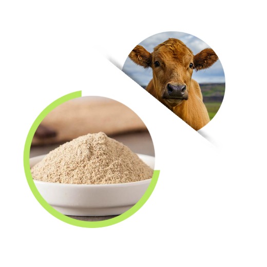 Vitamin D3 powder 500,000IU/G, Animal Feed Vitamin D3  