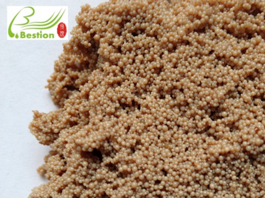 Cymbidium polyphenol extraction resin