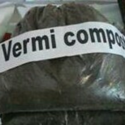Vermi Compost
