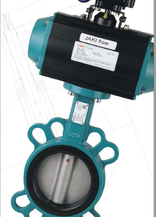 Butterfly Valve