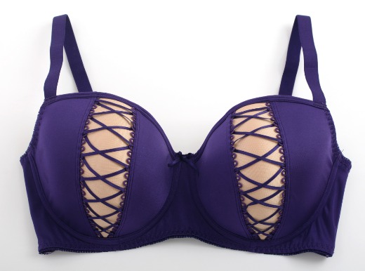 Fashion Style Women's Bra Underwired Plus Size Bra