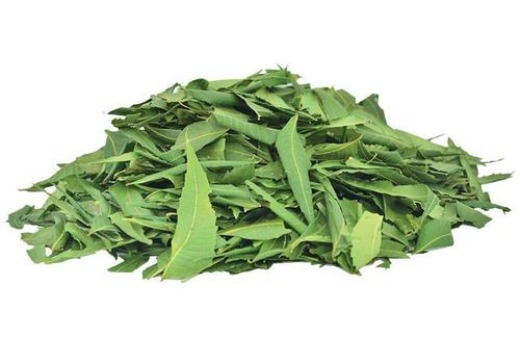 Neem Leaves