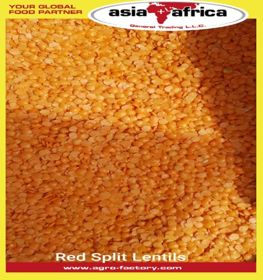 RED Split Lentil 