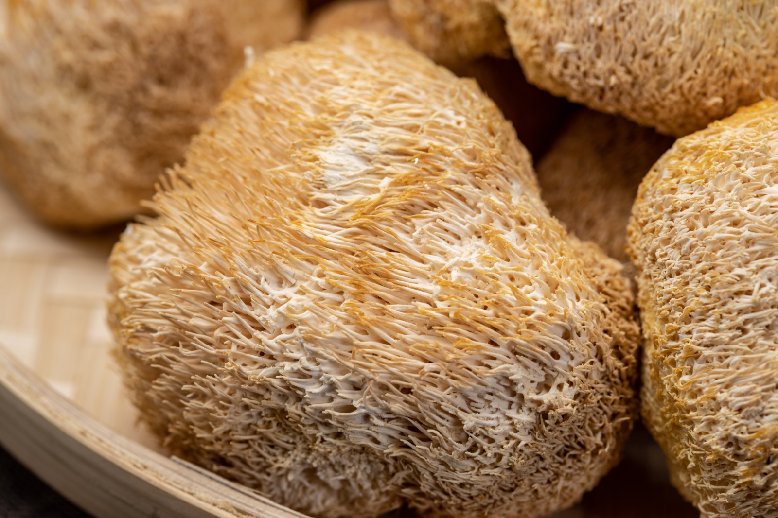 Royal Expo Garden Hericium mushroom 250g original ecological agricultural products