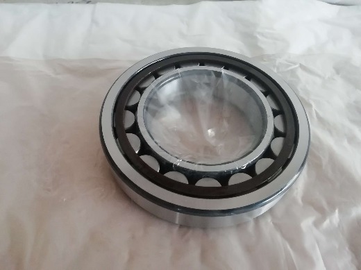 Single Row Cylindrical Roller Bearing NU204 Gcr15 P6 High Speed Roller Bearings 