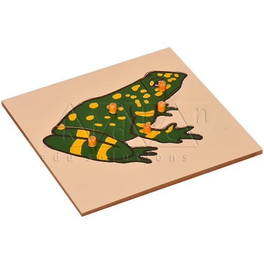 Frog Puzzle  ZW02