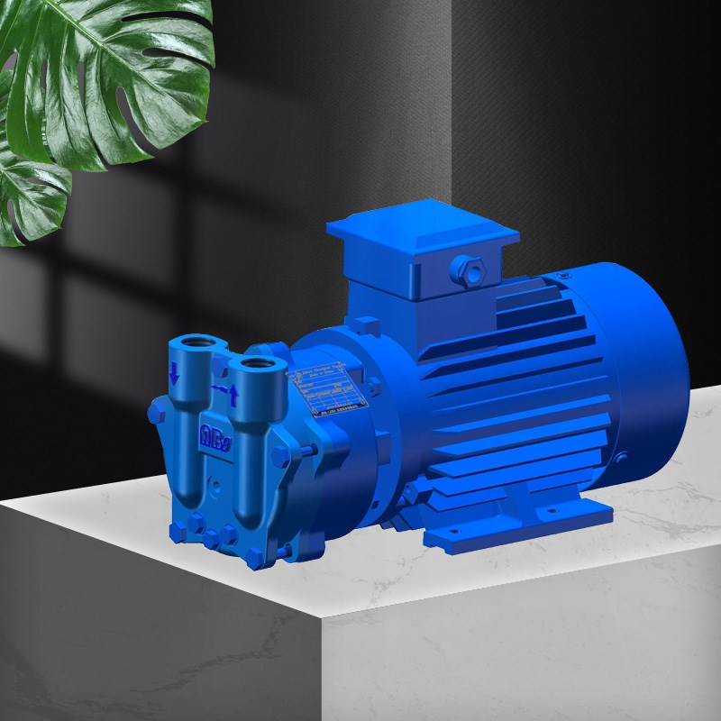 Single stage direct liquid ring vacuum pump