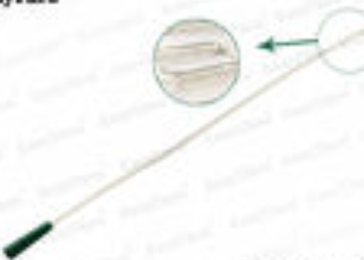Urinary Catheter 