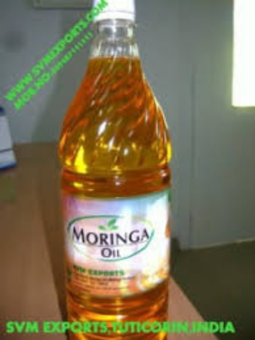 High Grade Moringa Seed Oil Exporters From SVM Exports India