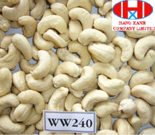 Fresh cashew kernels (WW240)