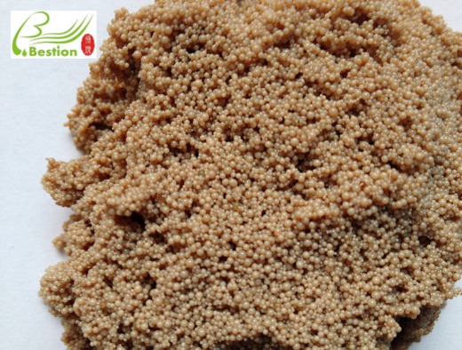 Flax lignan extraction resin
