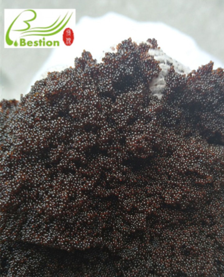 Adsorbent resin for extraction and purification of biological flavonoids 
