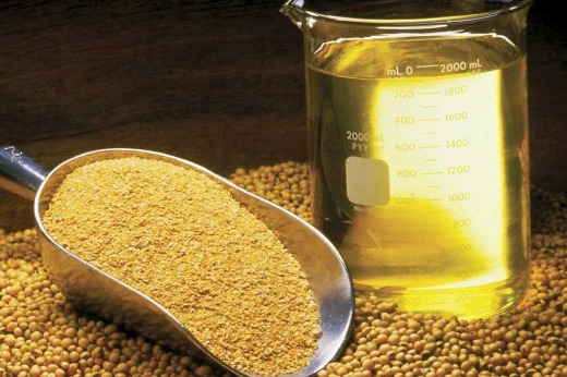 SOYBEAN OIL