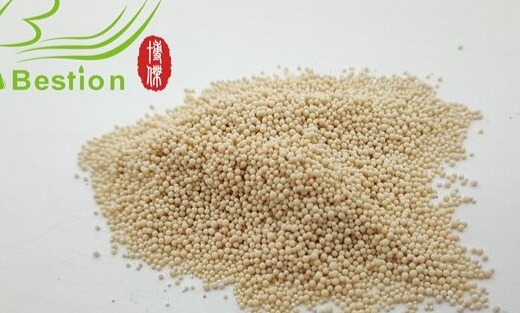 Adsorption resin Organo in industrial wastewater treated