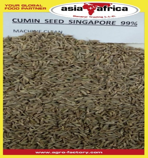 Cumin Seed Singapore 99%