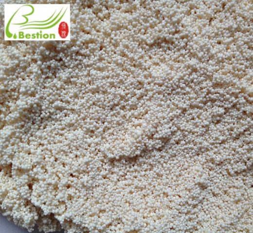 Ginkgo biloba extract resin