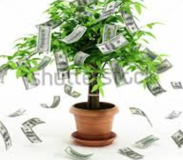 Startup Your Business At 3% Rate Loan Apply Now 