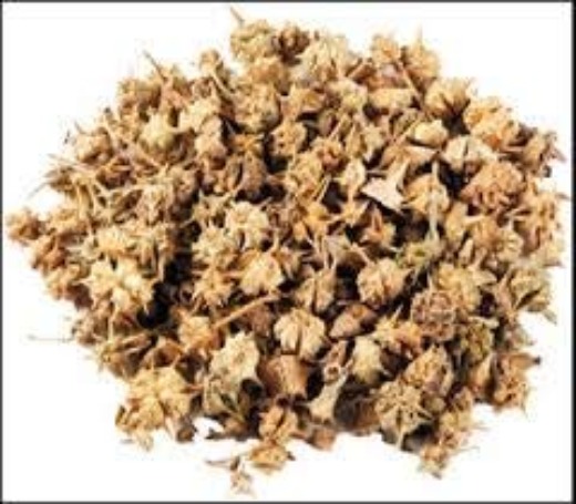 Gokhru Seeds