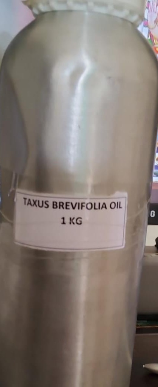 Taxus brevefolia fx solution 