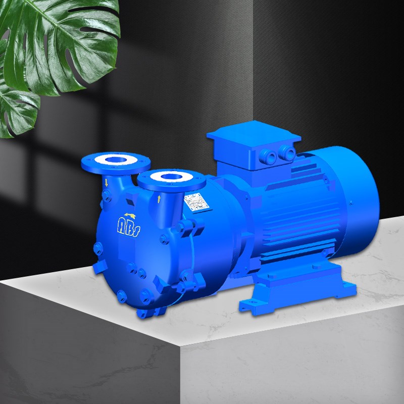 Single stage direct liquid ring vacuum pump