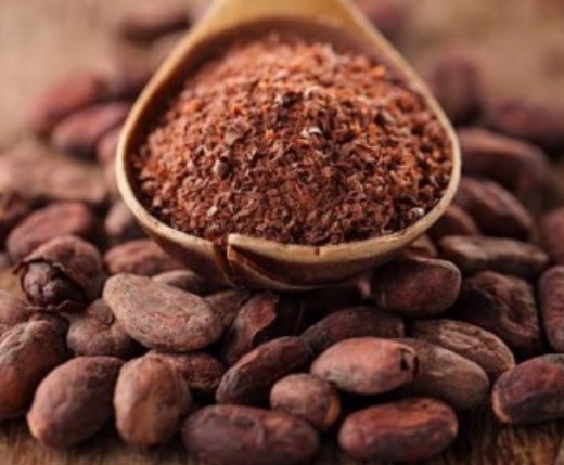 cocoa beans and cocoa powder