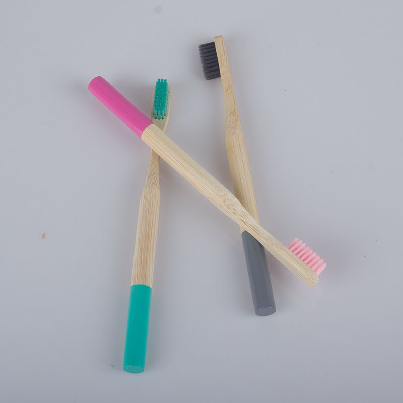 Adult toothbrush with round handle